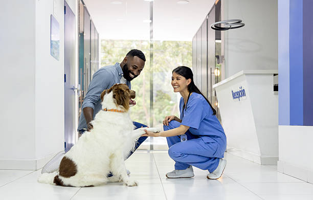 Familia y veterinaria atendiendo a un perro