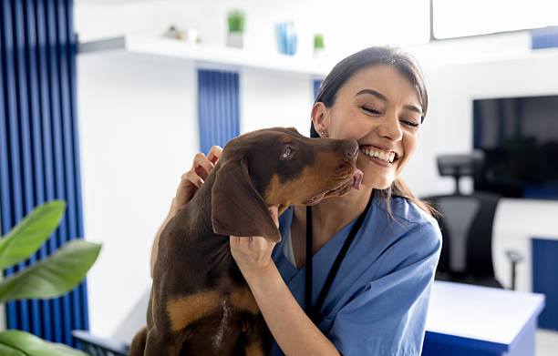 Veterinaria jugando con un perro